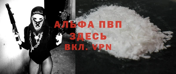 крисы Белокуриха