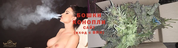крисы Белокуриха