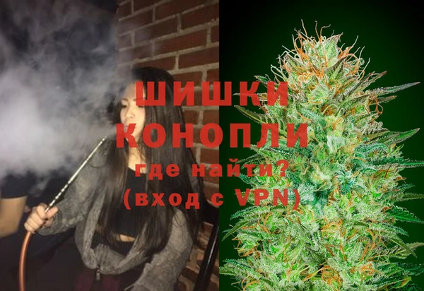 крисы Белокуриха