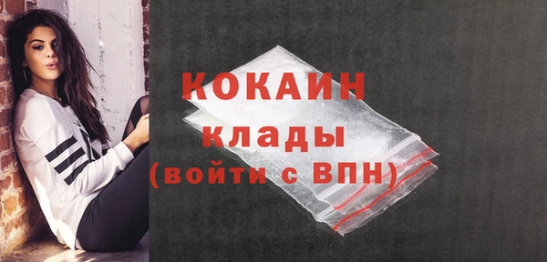 крисы Белокуриха
