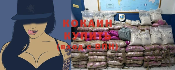 крисы Белокуриха