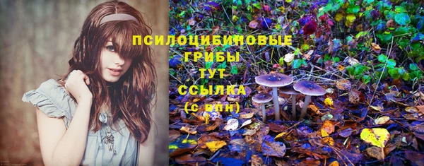 spice Белоозёрский